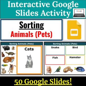 Animal Sorting Pets for Special Education Google Slides REAL IMAGES