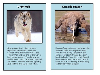 Preview of Animal Sorting / Trading Cards