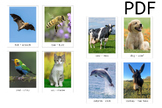 Animal Sound Flashcards - Small (PDF)