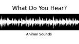 Animal Sounds / What Do You Hear?