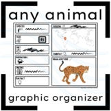 Animal Species Graphic Organizer