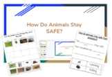 Animals Stay Safe- A 5 part packet
