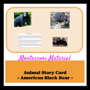 Preview of Animal Story Card Material - American Black Bear -