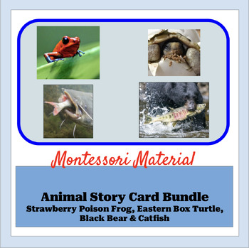 Preview of Animal Story Card Material Bundle - Mammal, fish, reptile and amphibian