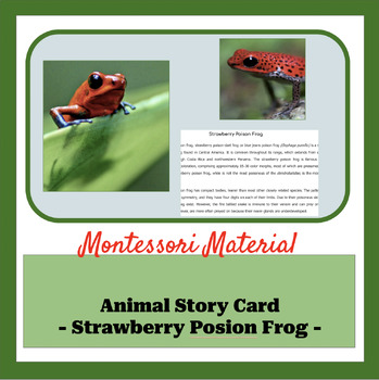 Preview of Animal Story Card Material - Strawberry Poison Frog -