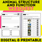 Animal Structure and Processes Activity WebQuest Research 