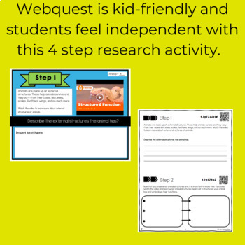 Animal Structure and Processes Activity WebQuest Research Project