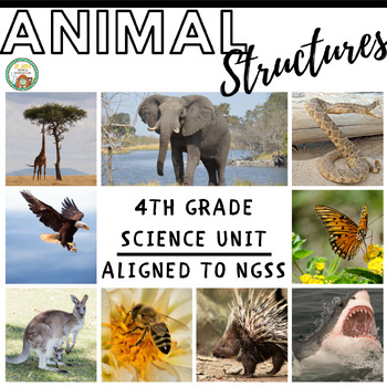 Preview of 4th Grade Science: Animal Structures (NGSS Aligned)