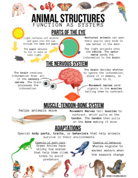 Preview of Animal Structures Anchor Chart 3-5 NGSS 24x36 POSTER