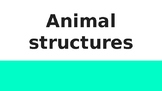 Animal Structures: NGSS 4-LS1-1 and 4-LS1-2