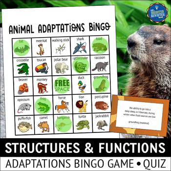 Preview of Animal Adaptations Structures and Functions Bingo Game Set 1