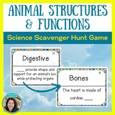 Animal Structures and Functions Science Center - Scavenger
