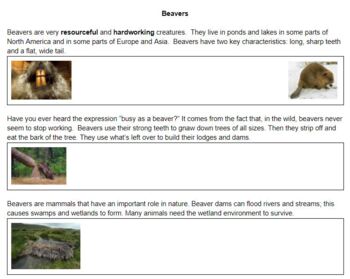 Animal Survivors: Expert Groups (Inspired by Project GLAD) by Kimberly Lumzy