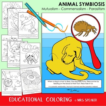 Preview of Animal Symbiosis Coloring