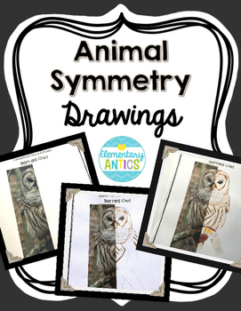 Preview of Animal Symmetry Drawing Activity