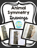 Animal Symmetry Drawing Activity