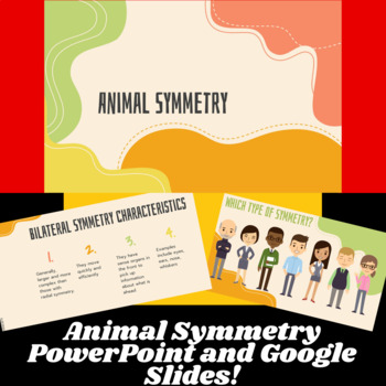 Preview of Animal Symmetry PowerPoint