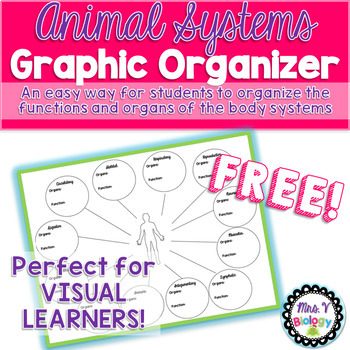 Preview of Animal Systems/Body Systems Graphic Organizer