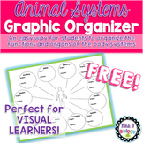 Animal Systems/Body Systems Graphic Organizer