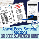Animal Systems Functions QR Code Scavenger Hunt