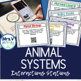Animal Systems Interactions Station Activity
