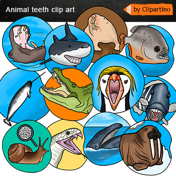 Preview of Animal Teeth Clip Art: fish, Shark, snail, snake, Alligator
