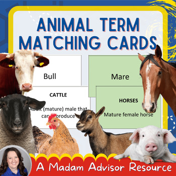 Preview of Animal Term Matching Game Cards - EDITABLE!