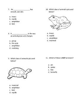 animal test research paper
