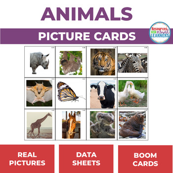 Animal Picture Cards for Language by Resources for Visual Learners-Holli  Duncan