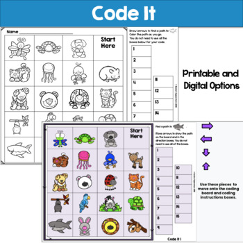 Animal Themed Unplugged Coding  for Beginners  Freebie by 