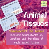 Animal Tissues Slideshow (Complete Lesson)