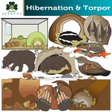 Animal Torpor and Hibernation Clip Art
