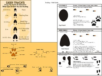 Preview of Animal Track Field Guide (Animal Gait Analysis Student track sample)