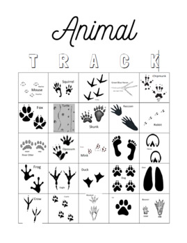 Animal Track Bingo Teaching Resources | TPT