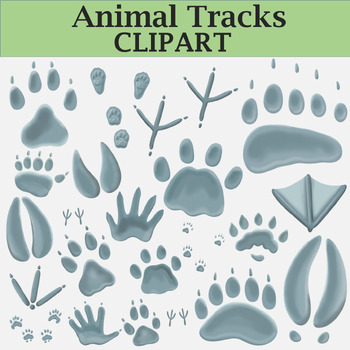 Preview of Animal Tracks Clipart (Paw Prints and Snow Prints!)