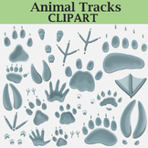 Animal Tracks Clipart (Paw Prints and Snow Prints!)