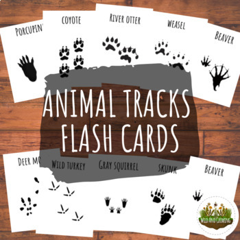 Animal Tracks Three Part Nomenclature Flashcards by Wild and Growing
