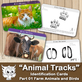Animal Tracks / Footprints Identification Cards. Farm Anim
