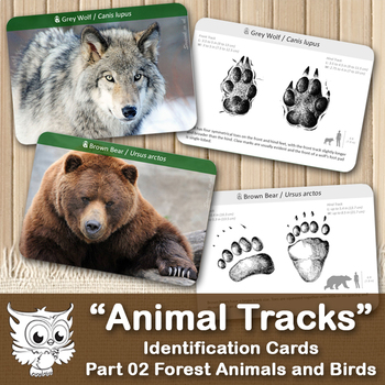 Preview of Animal Tracks / Footprints Identification Cards. Forest Animals and Birds. #02
