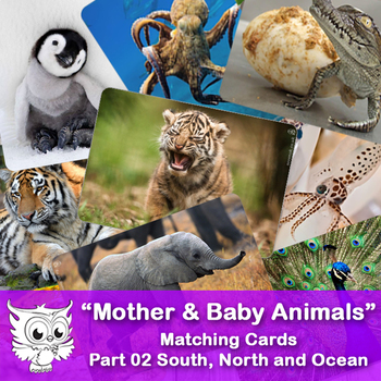 Preview of Mother & Baby Animals - Matching Cards. South, North and Ocean #02