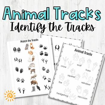 Animal Tracks Worksheet Bundle Identify Animal Tracks Educational