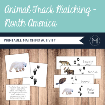 Preview of Animal Tracks Matching - Animals of North America