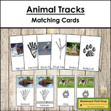 Animal Tracks Matching Cards - Animal Photographs & Footprints