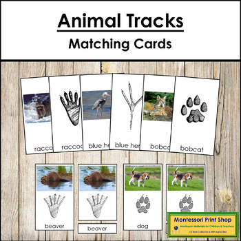 Preview of Animal Tracks Matching Cards - Animal Photographs & Footprints