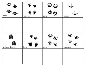 Animal Tracks Three Part Cards and Mini Matching Cards | TpT