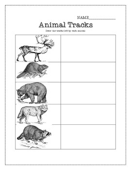 Animal Track Printables from A to Z - Growing Play