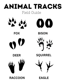 Animal Tracks Worksheet Bundle Identify Animal Tracks Educational Print PDF