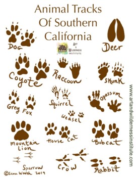 Animal Tracks of California