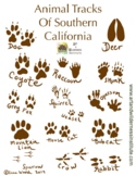 Animal Tracks of Southern California