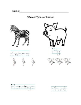 Preview of Animal Types